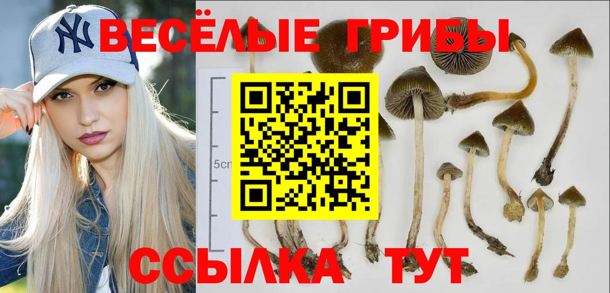 Псилоцибиновые грибы мухоморы  Галлюциногенные грибы мухоморы  Вход с VPN  Мичуринск 