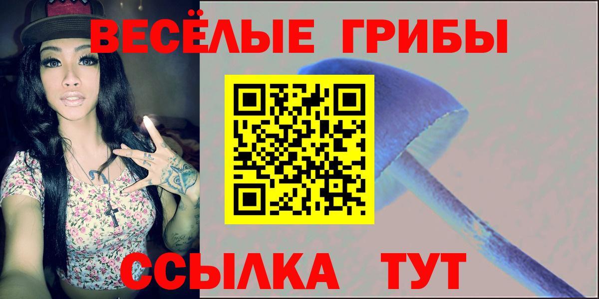 Галлюциногенные грибы Cubensis Мичуринск
